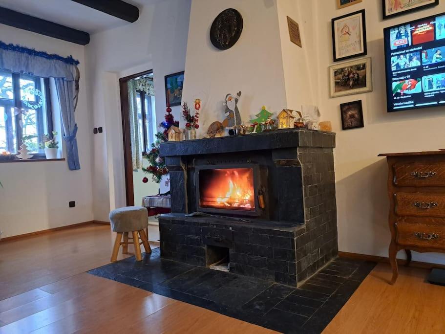 Radovanka Holiday home